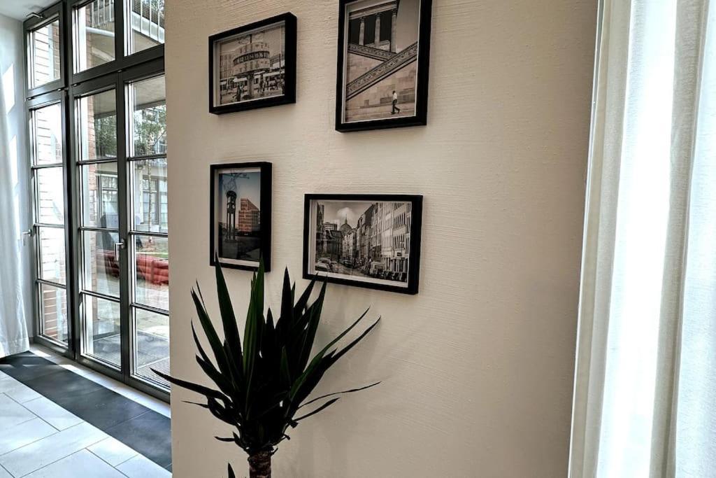 Appartement 210 M2 Loft Mit Terasse 2b 3r Kreuzberg *