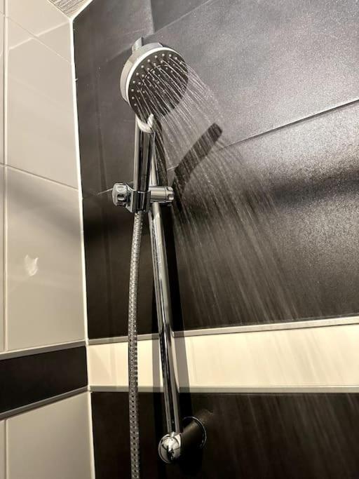 Appartement 210 M2 Loft Mit Terasse 2b 3r Kreuzberg